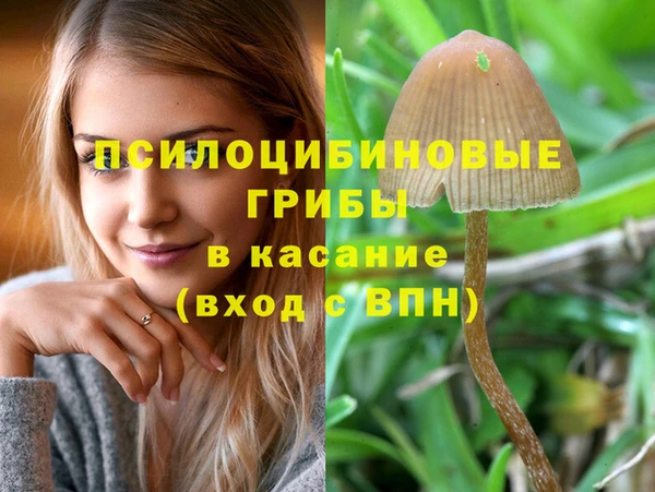 каннабис Каменка