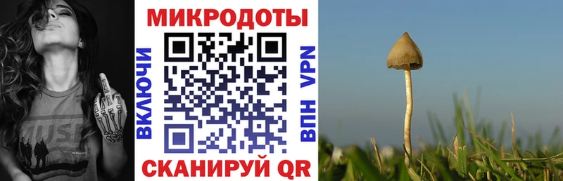 Псилоцибиновые грибы ЛСД  Купить закладки  Бугуруслан 